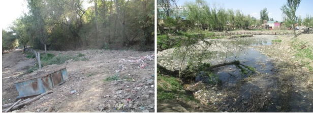 中节能铁汉: 新疆伊宁市后滩湿地公园 打造“城市绿肺” 共建生态伊宁