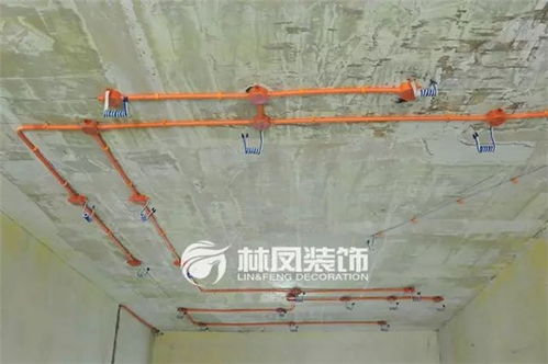 装修秘密档案 林凤在施工上死磕的原则和你不知道的 黑科技