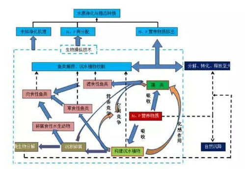山恒生态典型工程中国 贵安 东方瑞士 小镇农业观光园水生态循环系统构建