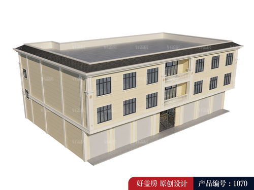 新农村住宅设计与施工