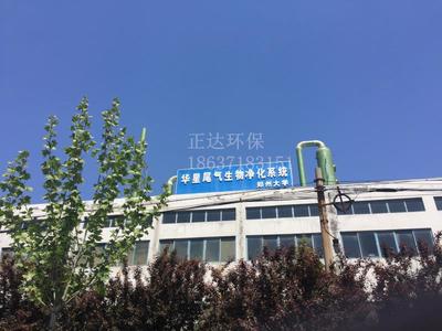 喷淋塔污水废气处理工程臭气臭水治理