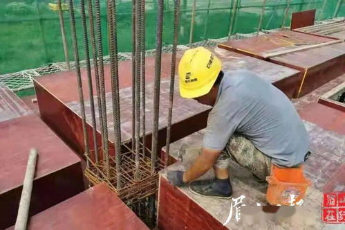 新增2600余个学位 东坡区这五所幼儿园预计明年投用