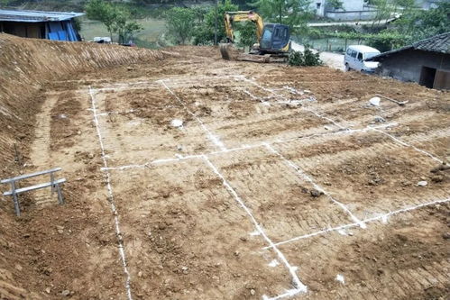 四川南充乡村自建现代别墅设计图纸 农村别墅图纸 建房施工队
